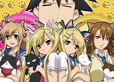 animal ears, Nyan Koi, Mizuno Kaede, Kousaka Junpei, Sumiyoshi Kanako, Kirishima Akari, Kirishima Kotone - random desktop wallpaper