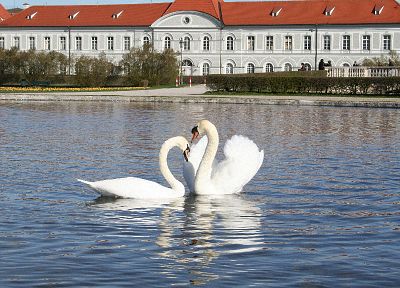 birds, houses, swans, mansion, lakes - related desktop wallpaper