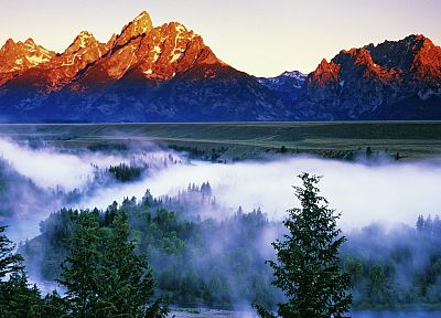 mountains, landscapes, forests, fog - related desktop wallpaper