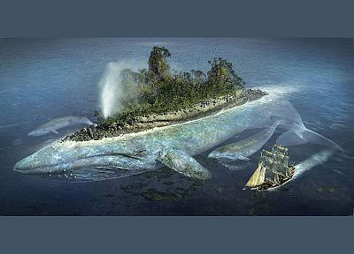 islands, whales - desktop wallpaper