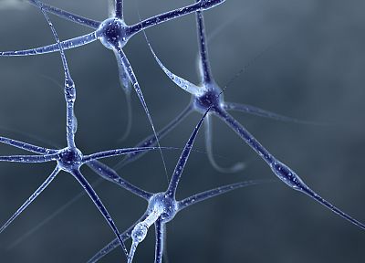 abstract, neurons - related desktop wallpaper