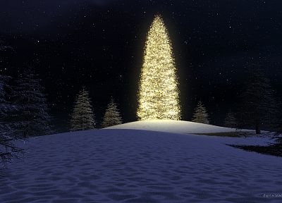 Christmas trees - duplicate desktop wallpaper