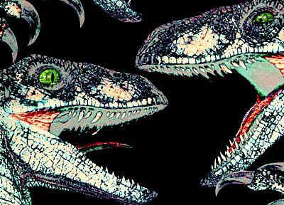 dinosaurs, velociraptor, Jurassic Park - duplicate desktop wallpaper