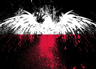 red, white, eagles, flags, Polish, Poland, black background, White Eagle - random desktop wallpaper