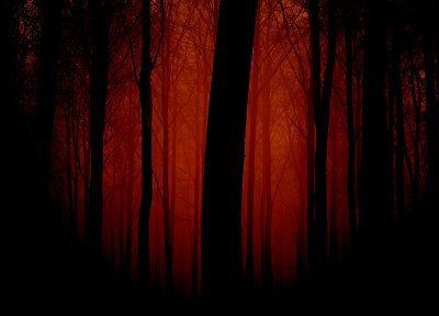 forests, silhouettes, monochrome - random desktop wallpaper