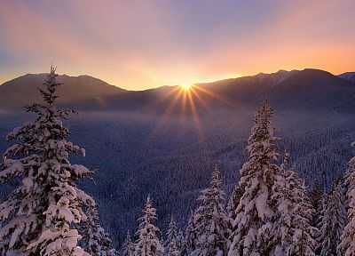 sunset, landscapes, winter, trees - duplicate desktop wallpaper
