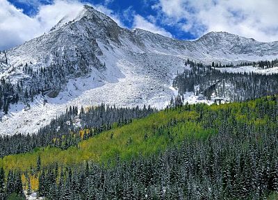 landscapes, snow, autumn, forests, west, national, Colorado, range, elk - random desktop wallpaper