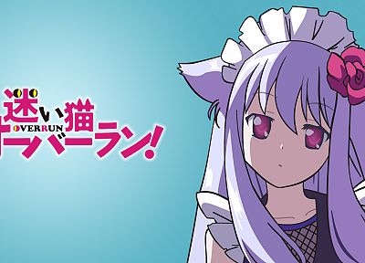 animal ears, Mayoi Neko Overrun!, anime, Kiriya Nozomi - duplicate desktop wallpaper