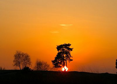 sunset, landscapes, Sun, trees - random desktop wallpaper