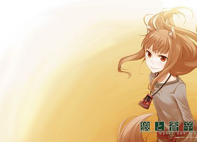 Spice and Wolf, Holo The Wise Wolf - random desktop wallpaper