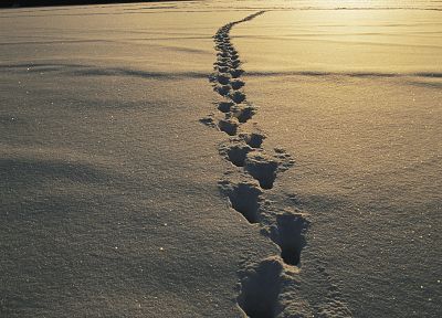snow, footprint - random desktop wallpaper