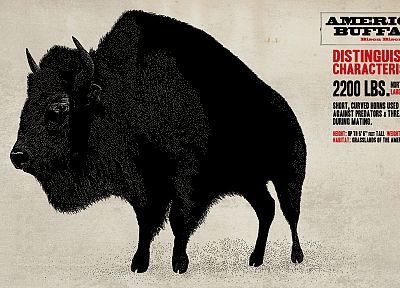 buffalo, Red Dead Redemption - desktop wallpaper