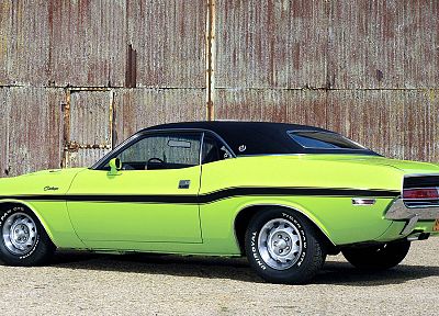cars, muscle cars, vehicles, Dodge Challenger, classic cars - related desktop wallpaper