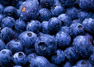 fruits, blueberries - related desktop wallpaper