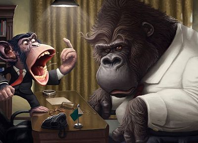 gorillas - random desktop wallpaper