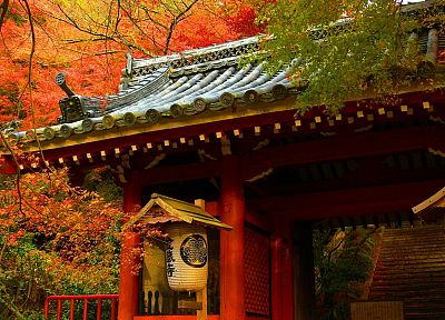 Japan, trees, autumn, houses - desktop wallpaper