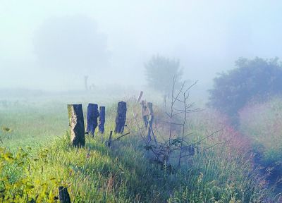 landscapes, nature, mist, morning - random desktop wallpaper