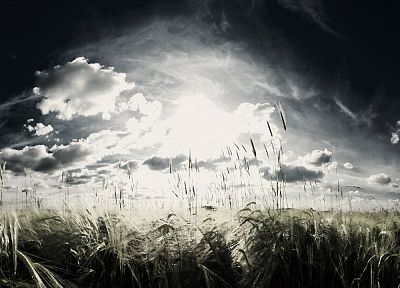 landscapes, wheat, artwork, skyscapes - related desktop wallpaper