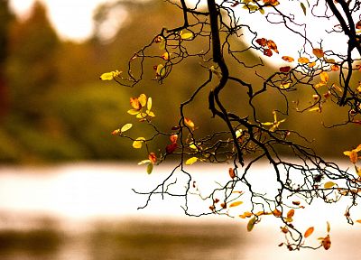 nature, autumn - related desktop wallpaper