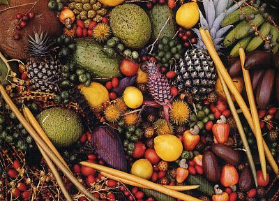 fruits - desktop wallpaper