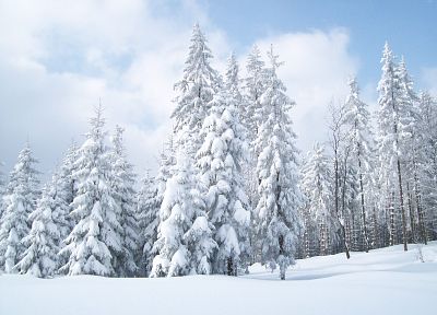 landscapes, winter, snow, Earth - duplicate desktop wallpaper