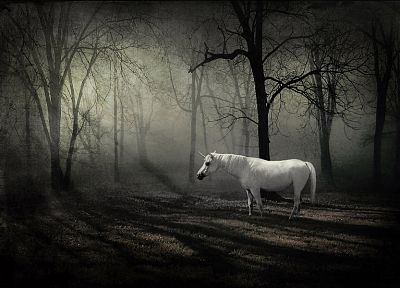 forests, unicorns, fantasy art - duplicate desktop wallpaper