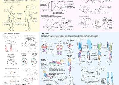 legs, guides, sketches, infographics, drawings, faces - random desktop wallpaper