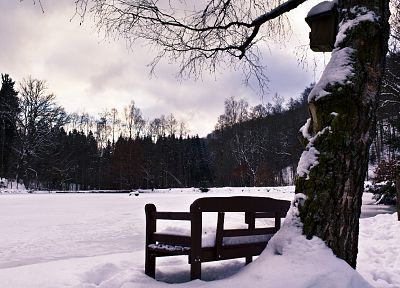 winter, bench, snow landscapes - duplicate desktop wallpaper