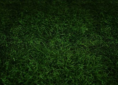 green, grass - desktop wallpaper